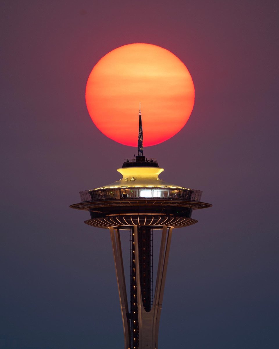 Some Smokey Seattle Sun Vibes! 🔥

Uncropped………….OR……………Cropped?