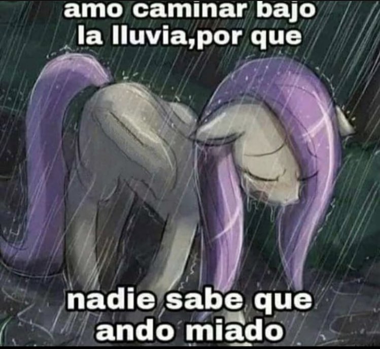 bafucry's tweet photo. ִ  ˑ 𖥔  𝗕𝗨𝗦𝗖𝗢 𝗠𝗨𝗧𝗨𝗔𝗟𝗦 ﹅ 

        ★̲   Hola, no soy nueva en anitwt pero busco mutuals para interactuar y que soporten mis estupideces.
        #animetwt #anitwt 

𝗳𝗮𝘃 para ser mutuals, 𝗿𝘁 para difundir ★☆★ https://t.co/TTVOQIp8Qn