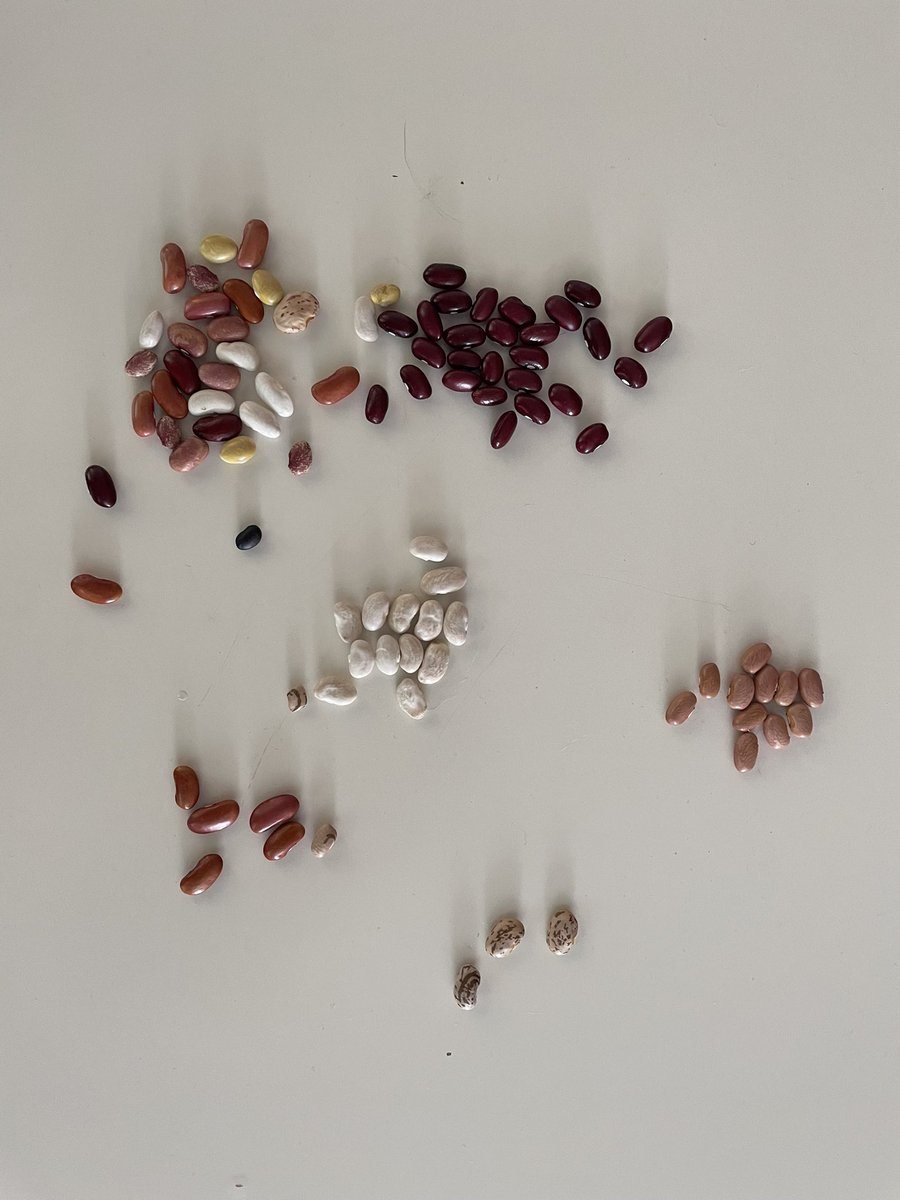 If you ever wonder what a bean breeders pockets looks like at the end of the day here it is.