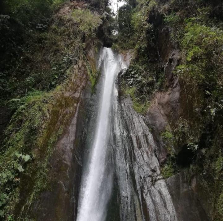 CápsulasBPI tweet media