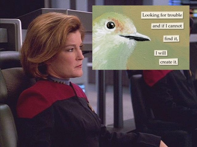 curioscurio's tweet photo. My favorite Star Trek Captains as Troubled Bird Memes https://t.co/8hET01QkXo