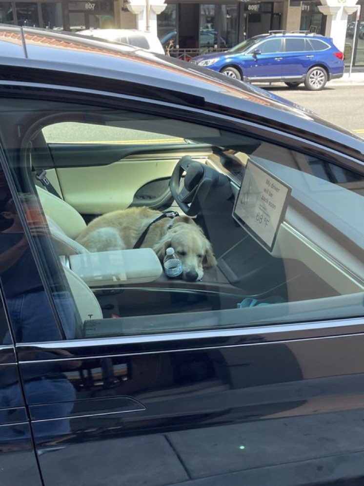 teslaownersSV's tweet image. Plaid Model X seen with dog mode on.