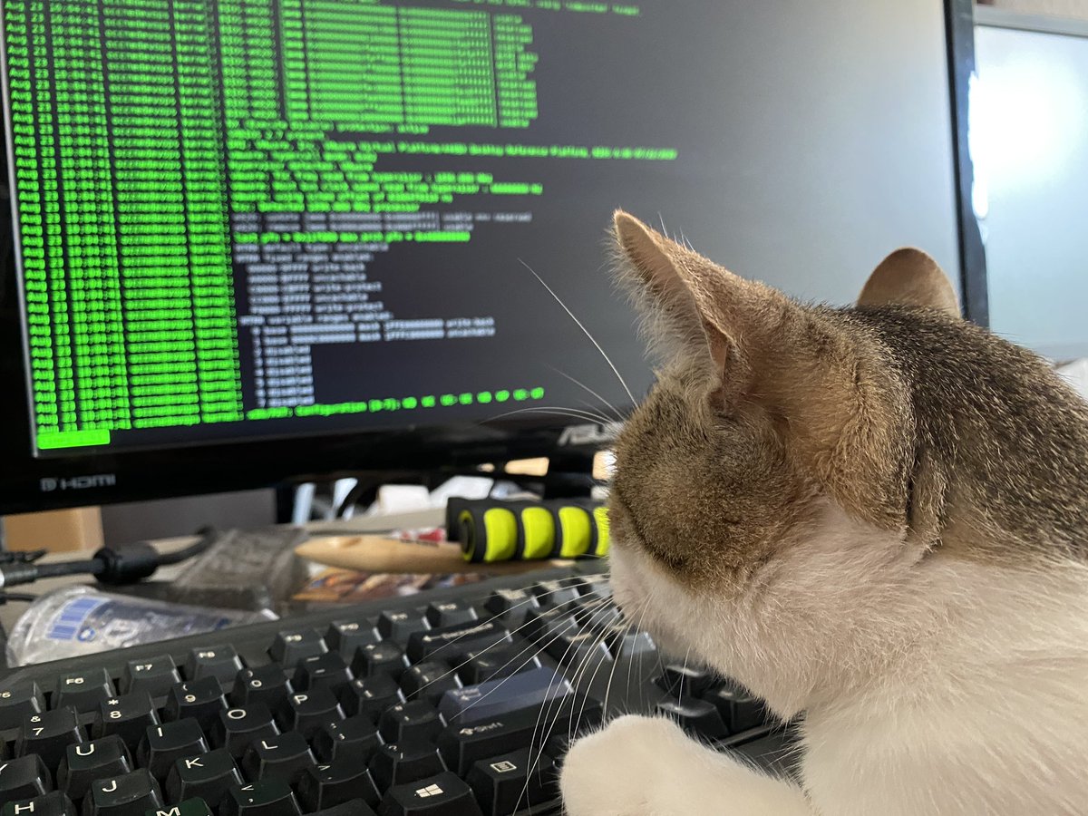aldo3G5's tweet image. Este deploy no me queda 😤 #catops #catcoder