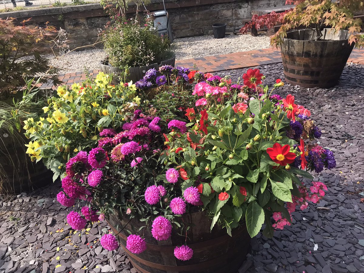 Largsorganicgdn's tweet photo. Busy bee volunteers in the garden this weekend and the monthly meet up was well attended. Well done folks gardens are looking lovely 💐 https://t.co/47m0MMB4MB