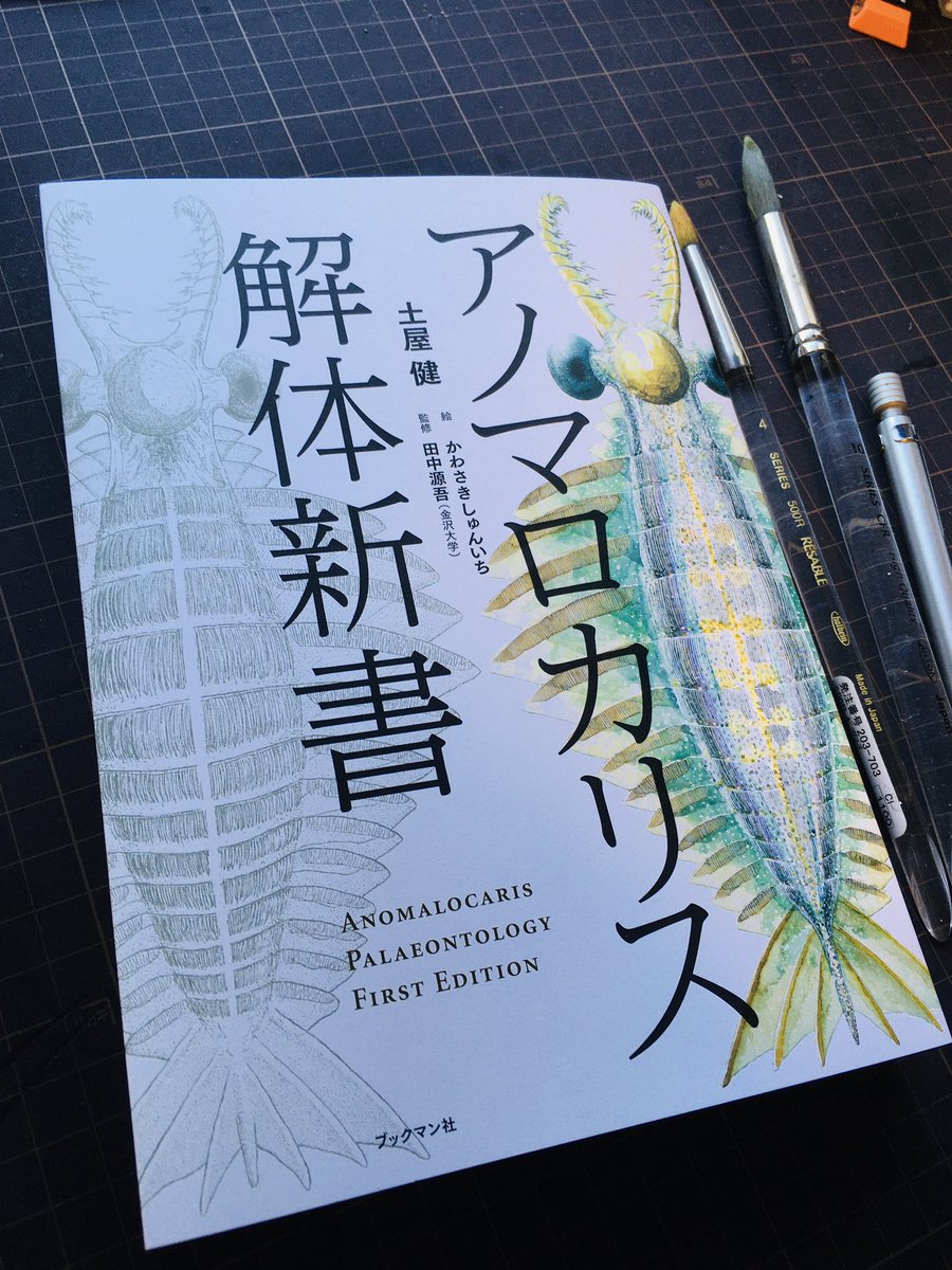 搬入日、舞台がなかったこのアノマロカリス解体新書の表紙原画もようやく初公開。買えます。#太古いきもの展 