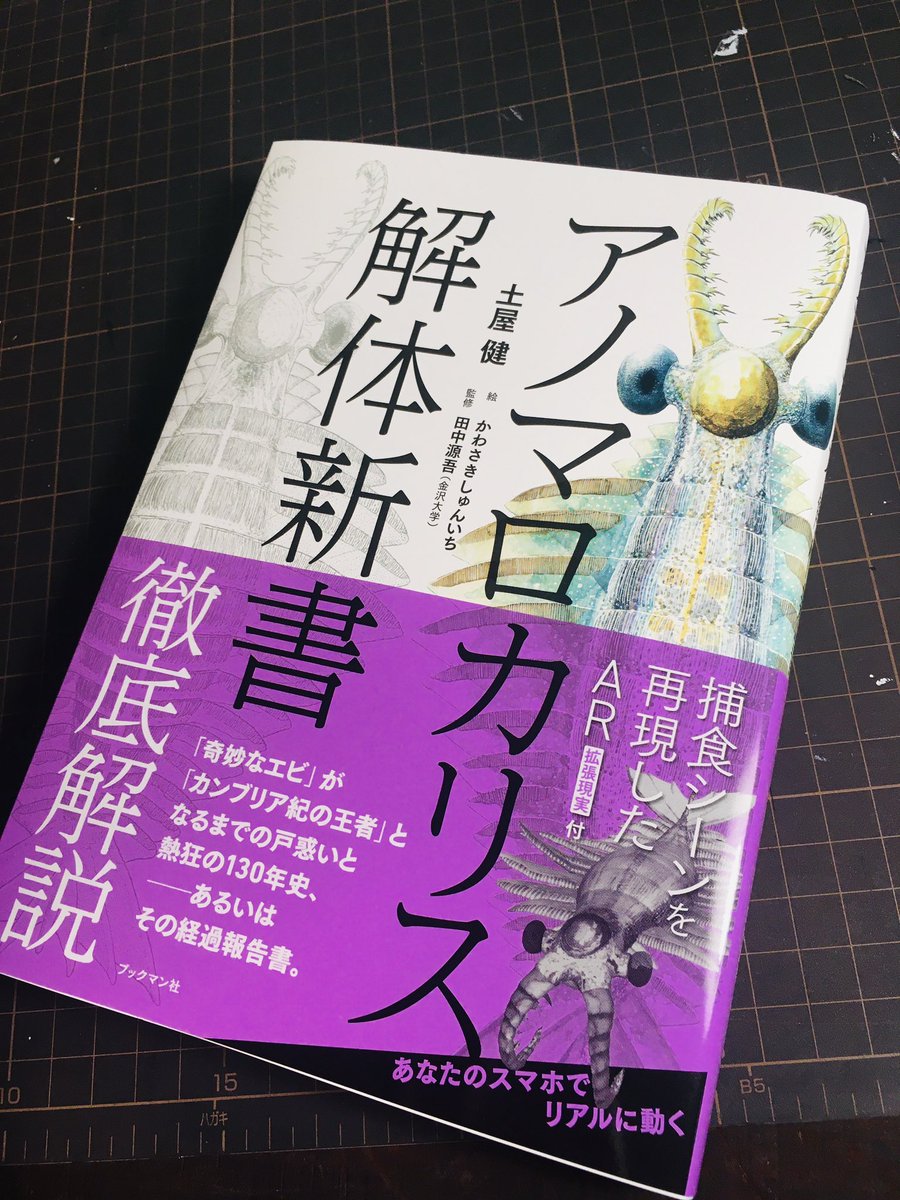 搬入日、舞台がなかったこのアノマロカリス解体新書の表紙原画もようやく初公開。買えます。#太古いきもの展 