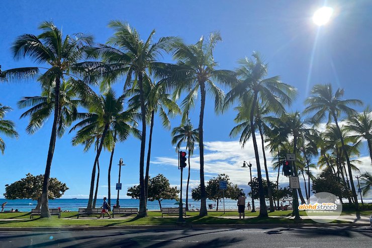 טוויטר アロハストリート בטוויטר 今週のハワイの壁紙 サンサンと降り注ぐ日差しとヤシの木の風を感じる朝 T Co Zqn67iqz8j T Co 05tipourfy