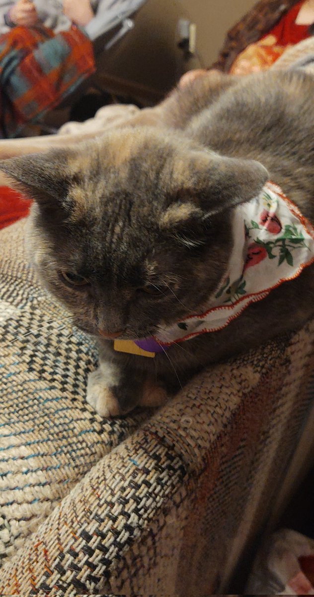 sherlokabriel's tweet image. 