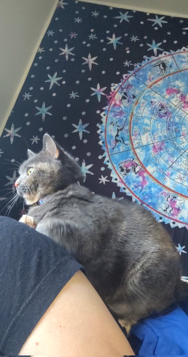 sherlokabriel's tweet image. 