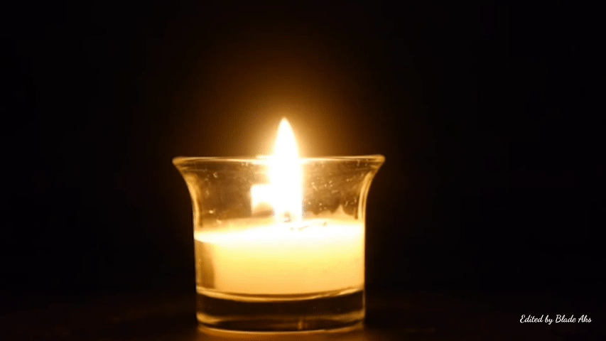 CatsMissing's tweet photo. 🙏🕯️Thoughts &amp; Prayers with a brave young woman called Charlotte. Another human for whom faithfulness &amp; loyalty to others is all. Also the animals of @KSAnimalRescue, staff &amp; #Nowzad staff who had to stay behind
#KabulSmallAnimalRescue #OperationHurcules 
@PenFarthing @domdyer70 https://t.co/8RpYvM4s6F