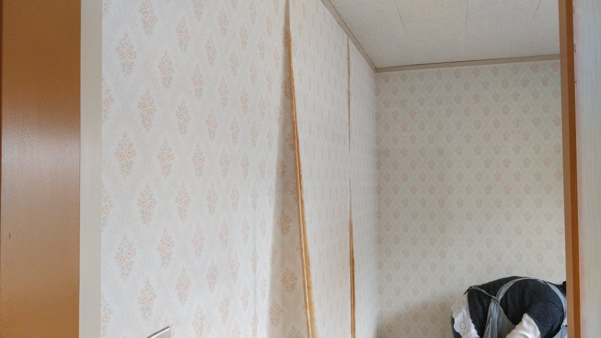 ｺﾒﾘ Traola Twitterren