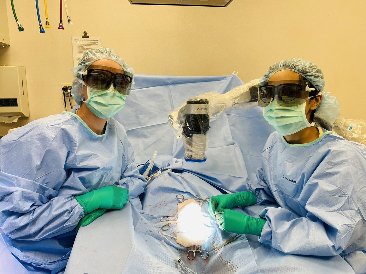 Helo_MD's tweet image. Start of new rotation, I had the pleasure of working with @raevti today. She’s an all star with a bright future in @SSMR_malefactor @ReprodMed_SMRU. She rocked the @OlympusMedUS Orbeye like a boss. Like watching 4K 3D TV? Consider applying to @MayoUrology @Uro_Res @UrologyMatch