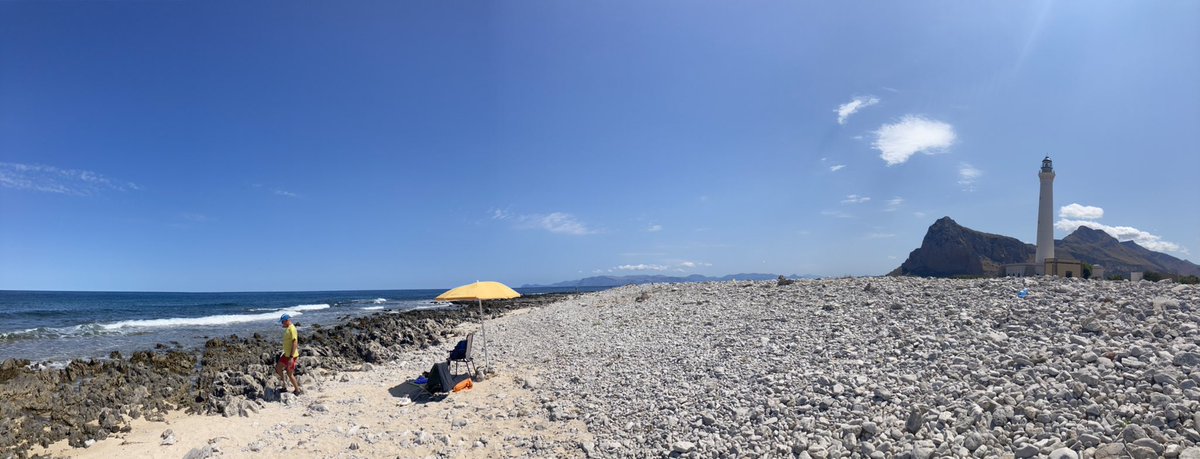San Vito lo Capo tweet media