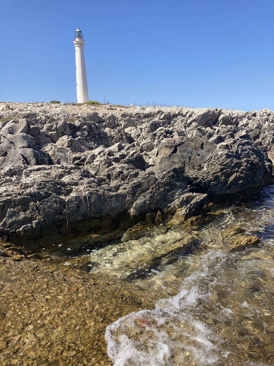 San Vito lo Capo tweet media