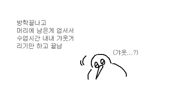 키위새는 행복해요 tweet media