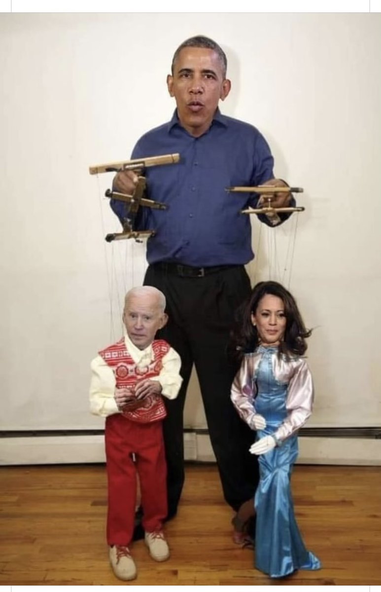 Steven S. tweet media