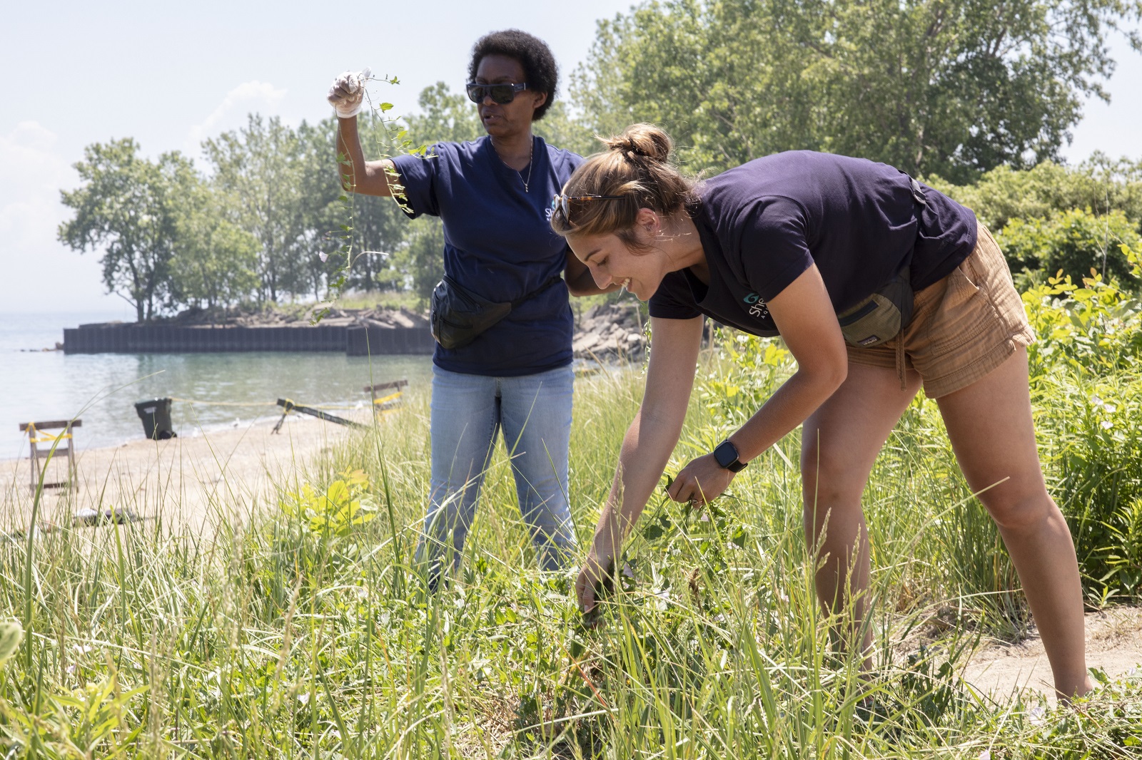 Shedd Aquarium on Twitter "Speaking of NationalBeachDay, celebrate by