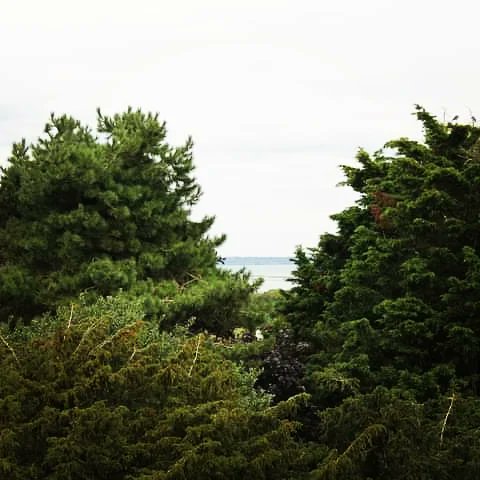 Brynwales's tweet image. Views from Shalfleet Church tower, open today as part of #Shalfleet village fete #IsleofWight