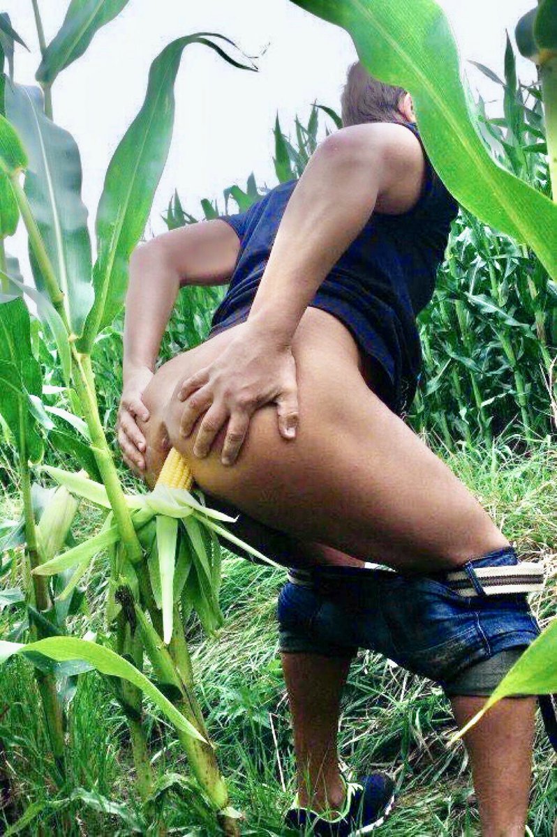 Duke Todd tweet media