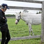 この光景は感動的？ゴールドシップが今浪厩務員と2年ぶりに再会!