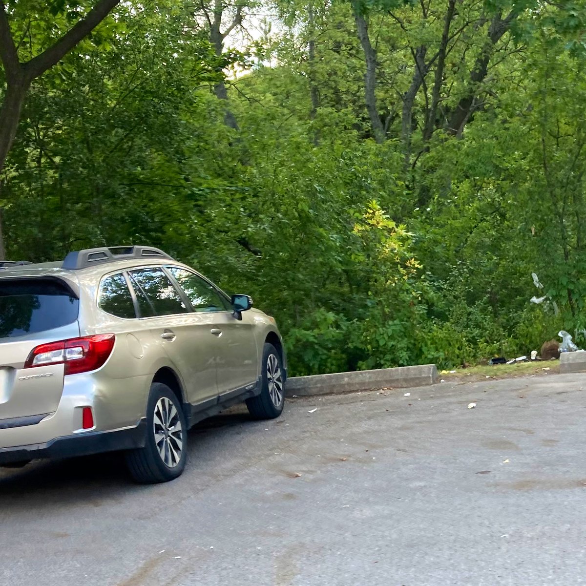 kiwi757's tweet photo. Making every effort to try and remain + but when ppl pull into public park and dump all the garbage that’s in their brand new car into the bush less than 100 ft from garbage can I can’t help but think we r screwed as a species. #recyclingisamyth #plasticpollution #saveourseas https://t.co/N89dLyFdSk