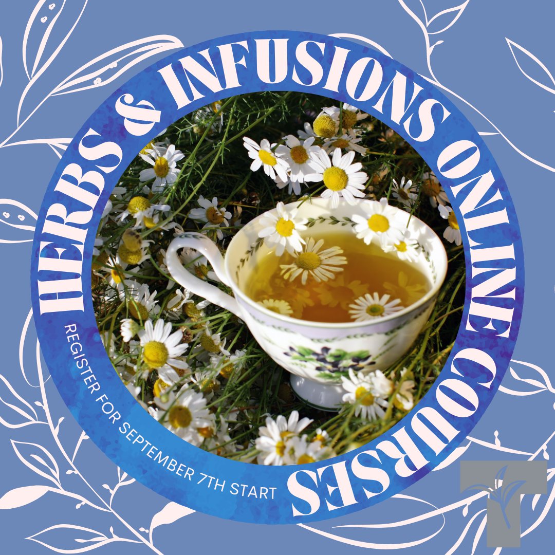 CanadaTea's tweet photo. Looking to learn more about herbal tea?
Register for our upcoming Herbs & Infusions online courses. Classes start on September 7th (registration closes this Thursday). #BrewCrew #TeaForLife #TeaSchool
Register here https://t.co/ziAk9uAh6b https://t.co/J3YSHs6s1E