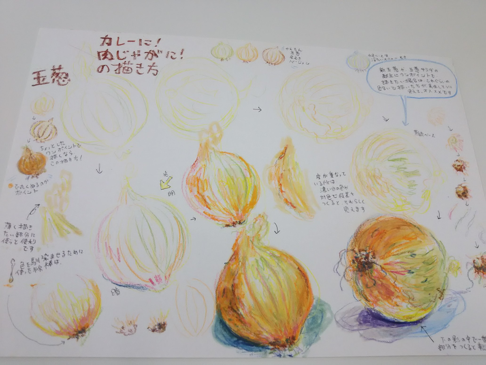 ねこい 12月6日 11日まで新潟美術学園ギャラリー展示会に参加しています 本日のイラスト 野菜の日 なので水彩色鉛筆 教室用に描き方のコツを纏めたのと 地元亀田三九の朝市で買った野菜纏めを っ W っ イラスト アナログイラスト 水彩色鉛筆