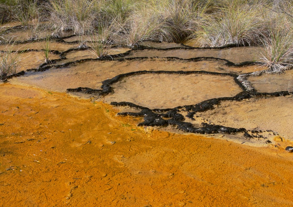 StupidistGit's tweet image. nqnat.org/volume-51   Our latest paper on the ecology of Talaroo Hot Springs, Australia’s Yellowstone, is out today. With @SpringyLimno  @DryRiverbedGirl @roconscicom and Glenn McGregor. @SpringyLimno ‘s Talaroo colonial history paper is in the same volume