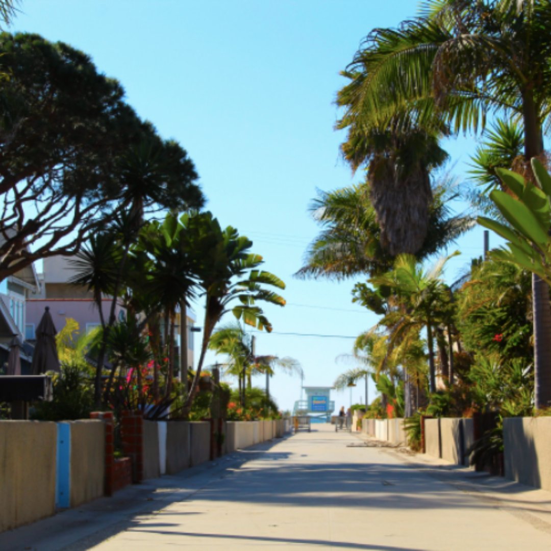 Paradise at every turn here in Manhattan Beach🌴 🌸

#westdrift #westdriftmanhattanbeach #manhattanbeach