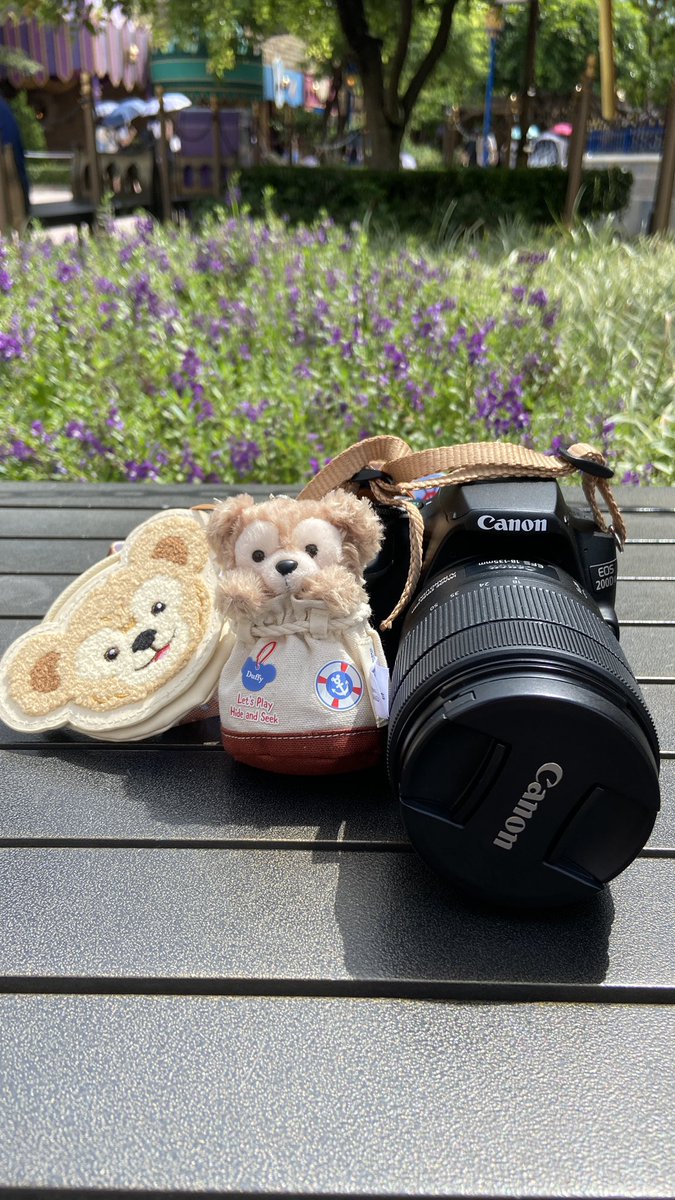 hiusze0729's tweet photo. New baby for disney😌 https://t.co/DkfUa24BV0