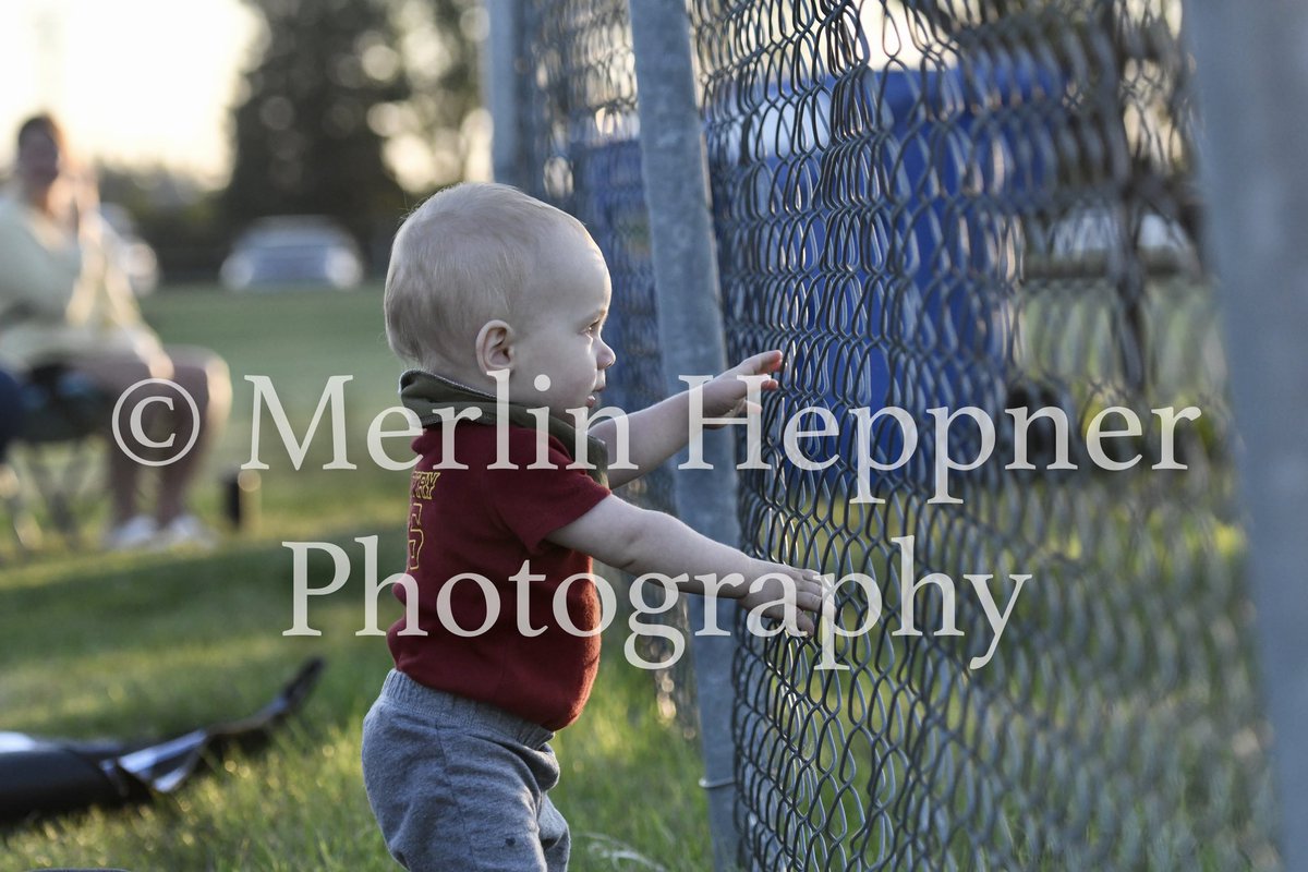 Merlin Heppner tweet media