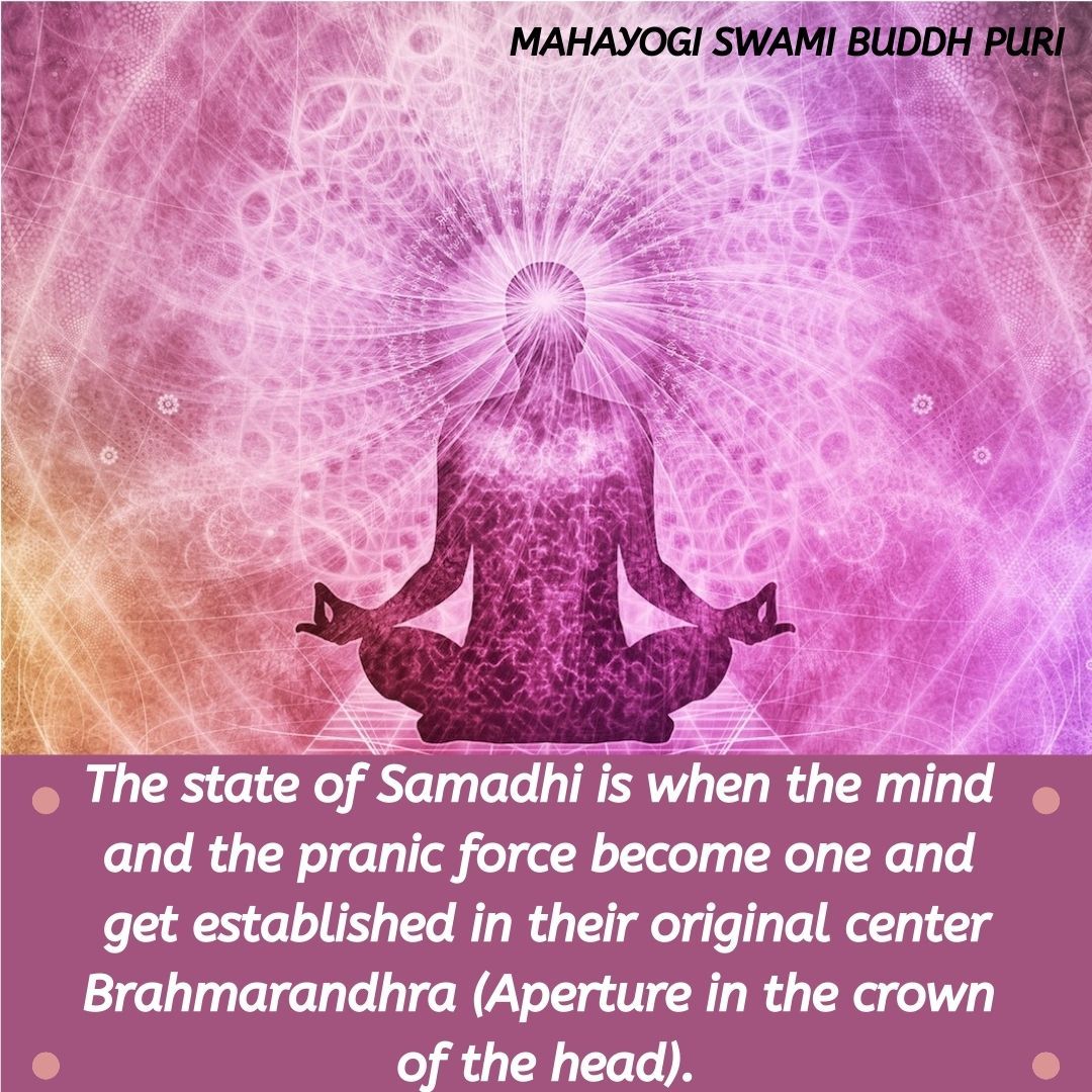 MahayogiBooks tweet media