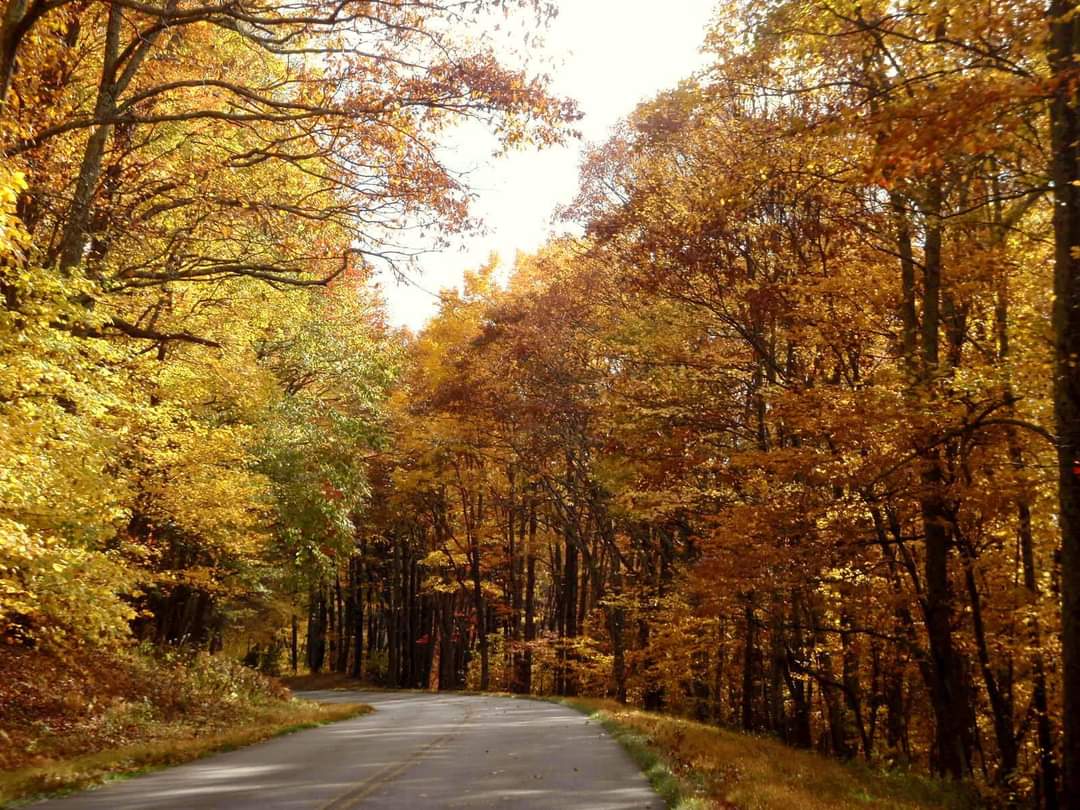 AKerski's tweet photo. I am ready for Fall and the return of cooler temperatures! #ThrowBack #Fall #Virginia #Shenandoah #Skyline #SoOverSummer https://t.co/67HQKiZpGU