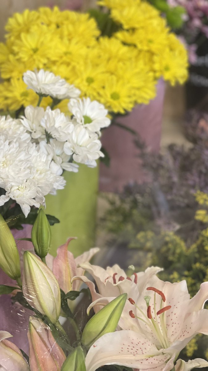 صبحّت بالخير يوم الخير 
                    صبحّ بك !   ོ ِ 📸