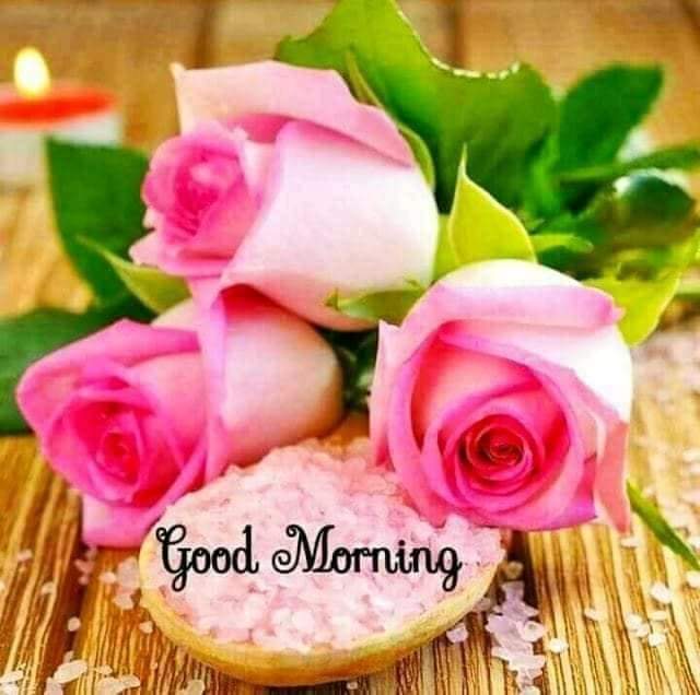 Samiera Good Morning My Friends I Love You T Co Prqwagk3pe Twitter Samiera Good Morning My Friends I Love You T Co Prqwagk3pe Twitter