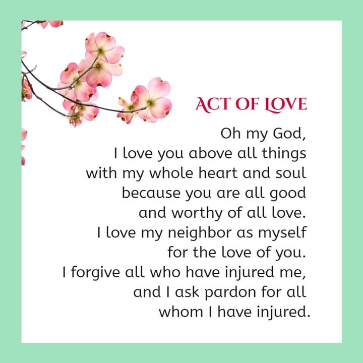 __7angels's tweet photo. ..🍃
Doing good and being good has no expiry date. Let not be the reason for people to get sick and tired of life. ❣
🌿"Do not let kindness and truth leave you." ~ Proverbs 3:3
#TuesdayWithGod
#ChooseLove https://t.co/MnqQT3PLHS