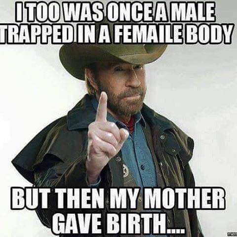 islangfacts's tweet image. 