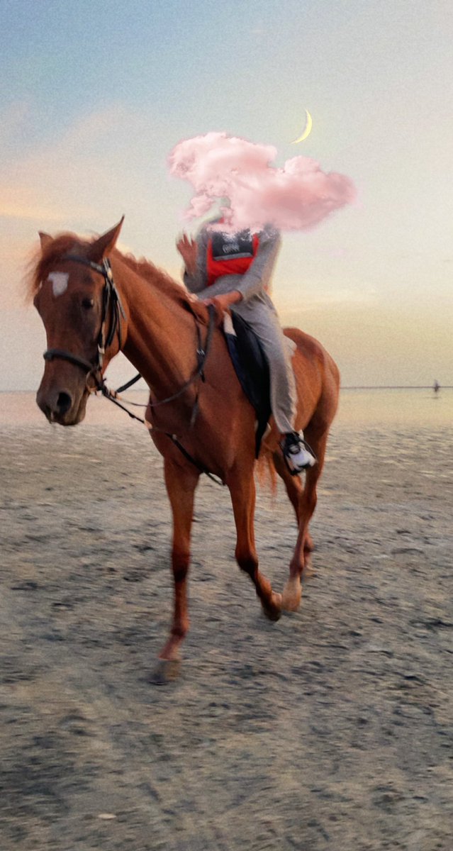 ab96_ix's tweet photo. 🐴♥️. https://t.co/94t6qT3pac