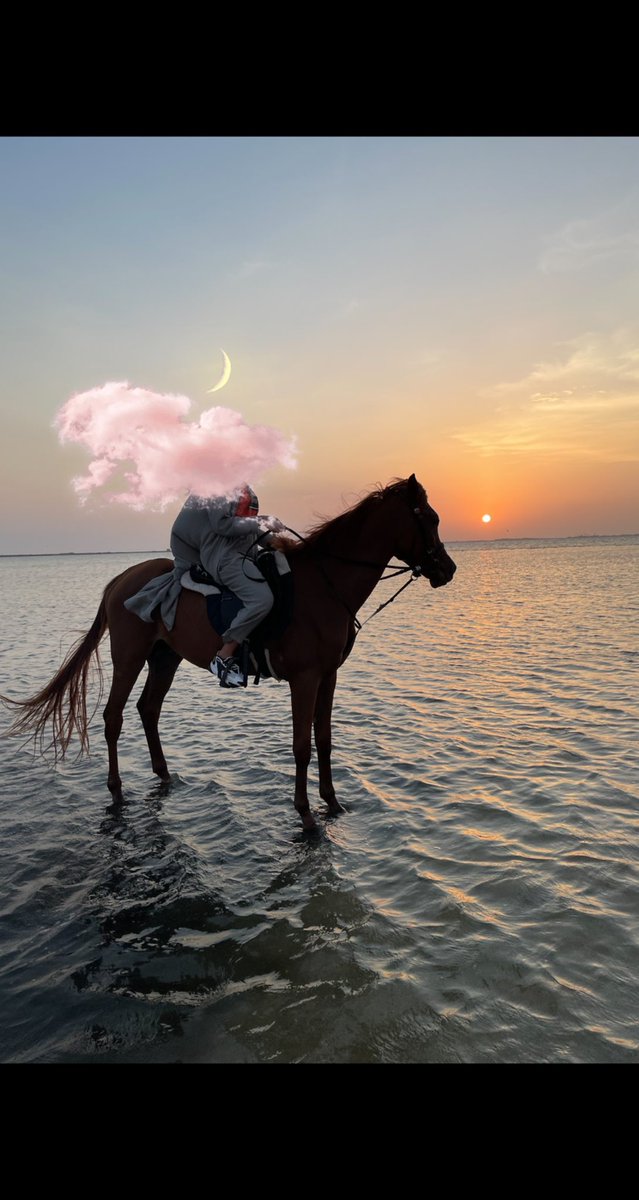ab96_ix's tweet photo. 🐴♥️. https://t.co/94t6qT3pac