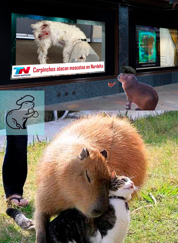 Todo está medido en el mundo carpincho. <a href="/CarpinchoCoin/">Carpincho</a>