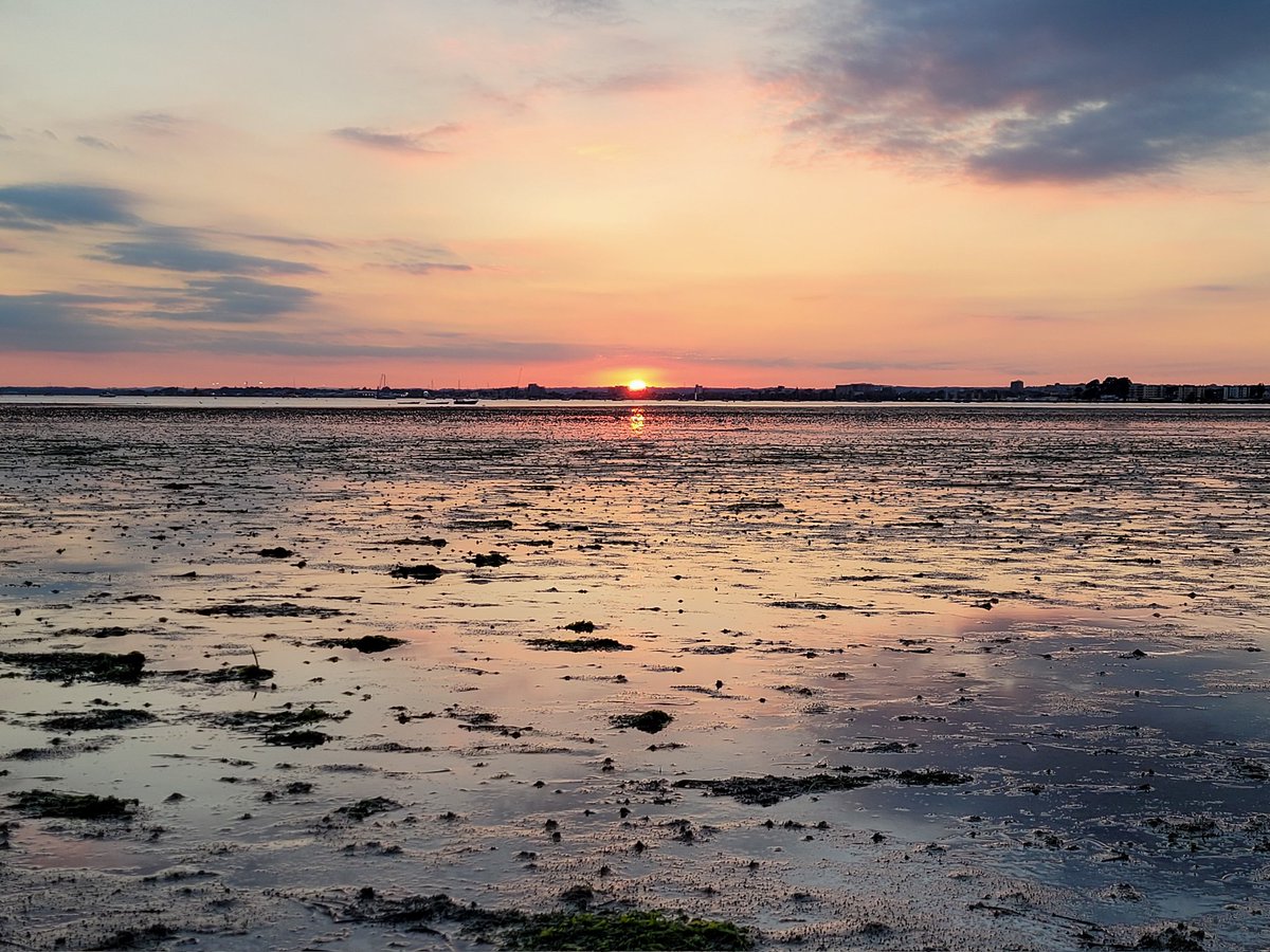 StarsetPhotos's tweet photo. Sunset Beach 

#photooftheday #photography #NFTCommmunity #nftphotographer https://t.co/EC9tpi5Vpx