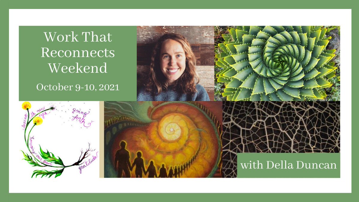 Register by Wed, Sept 1 for early bird savings on our Work that Reconnects (WTR) weekend, Oct 9-10. Through a series of creative and experiential exercises, The WTR opens space for radical truth-speaking and personal and collective empowerment. santacruzpermaculture.com/wtr/