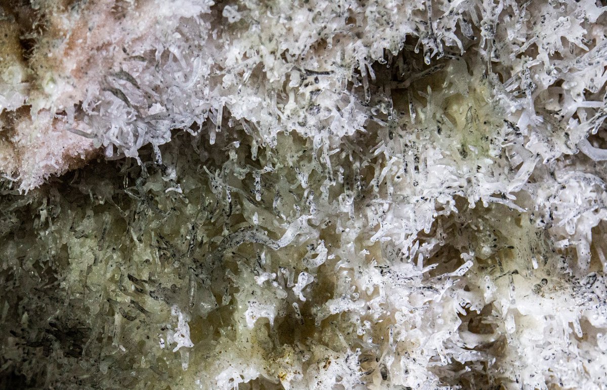 pyctacolors's tweet photo. Texturas 

📸 @pyctalali 

#caves #texturas #Cuba #photography #naturephotography https://t.co/Xdh2uip7wO