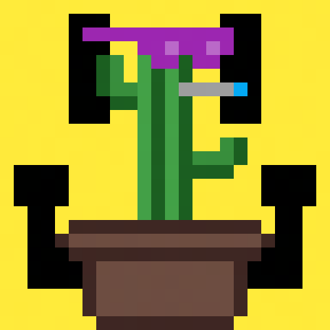 Cactus 🌵 NFTs on #Solana 

Fueling #SolanaSummer 

Welcome to the desert 🏜️