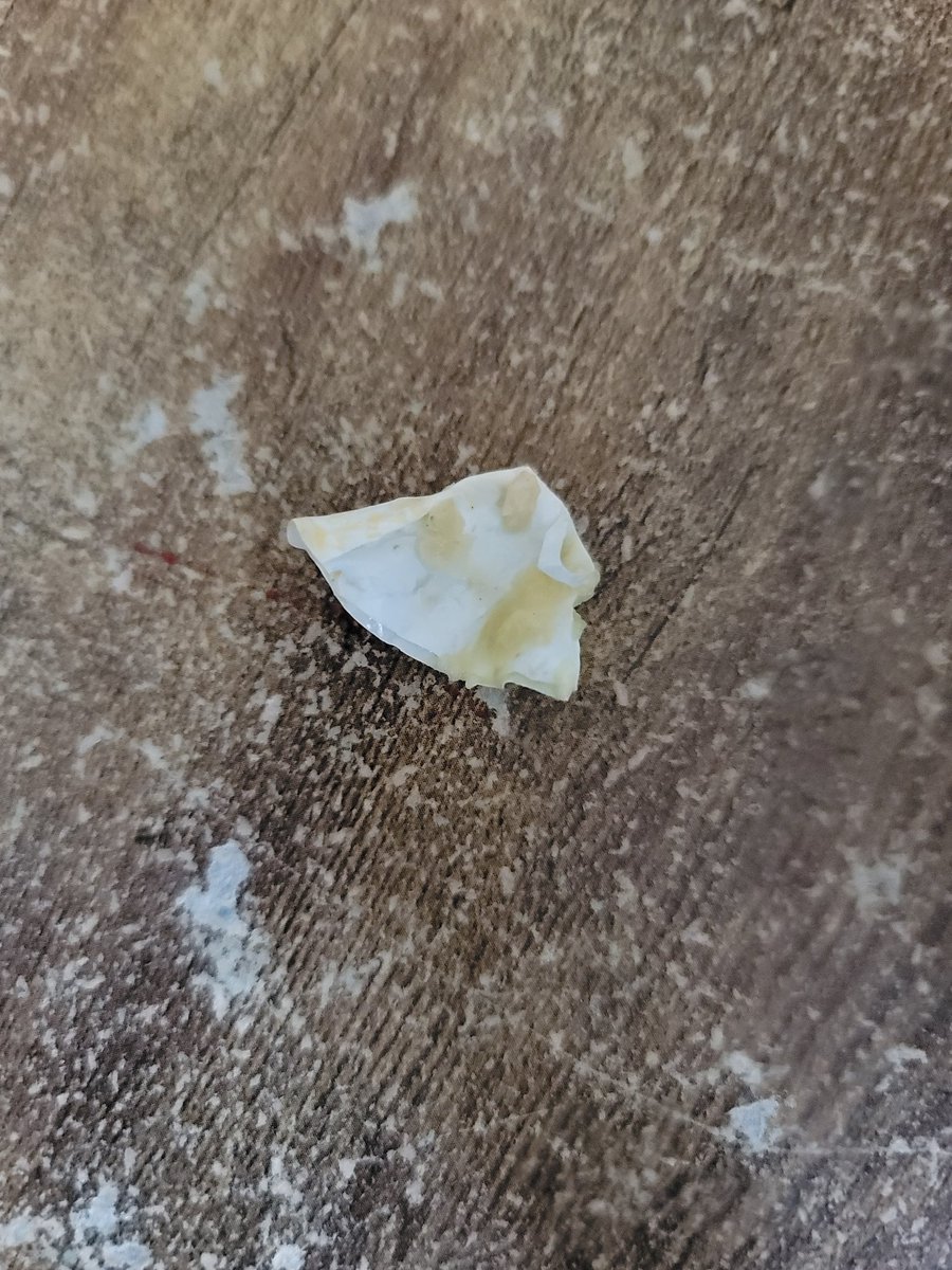 Mstr__Meme's tweet image. A few more bites in and I got a lil surprise waiting for me "lemme get a chicken wrap with a side of plastic in it... THANKS" @ChipotleTweets @ChipotleUK @ChipotleJobs