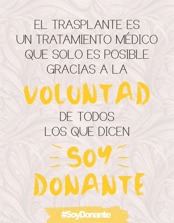 listadeesperaec's tweet photo. Los #trasplantes solo son posibles GRACIAS al donante y a su familia. Que en ese momento las familias logren encontrar paz sabiendo que su familiar salvará varias vidas.
Una sociedad donante se construye entre todos. 
#YoSoyDonanteYMiFamiliaLoSabe
#SinDonantesNoHayTrasplante https://t.co/JAORfqZA7H