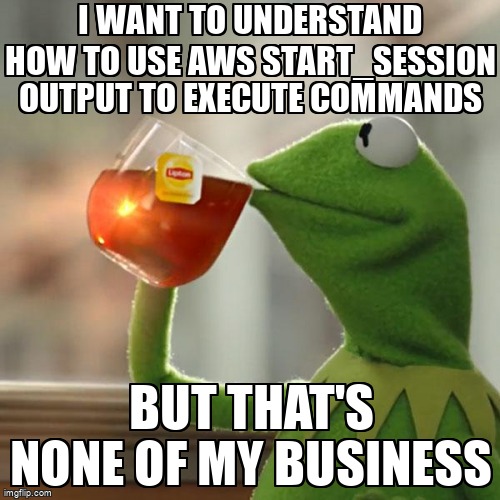 overflow_meme's tweet image. I want to understand how to use aws start_session output to execute commands stackoverflow.com/questions/6898… #websocket #boto3 #awssessionmanager #awsssm #python