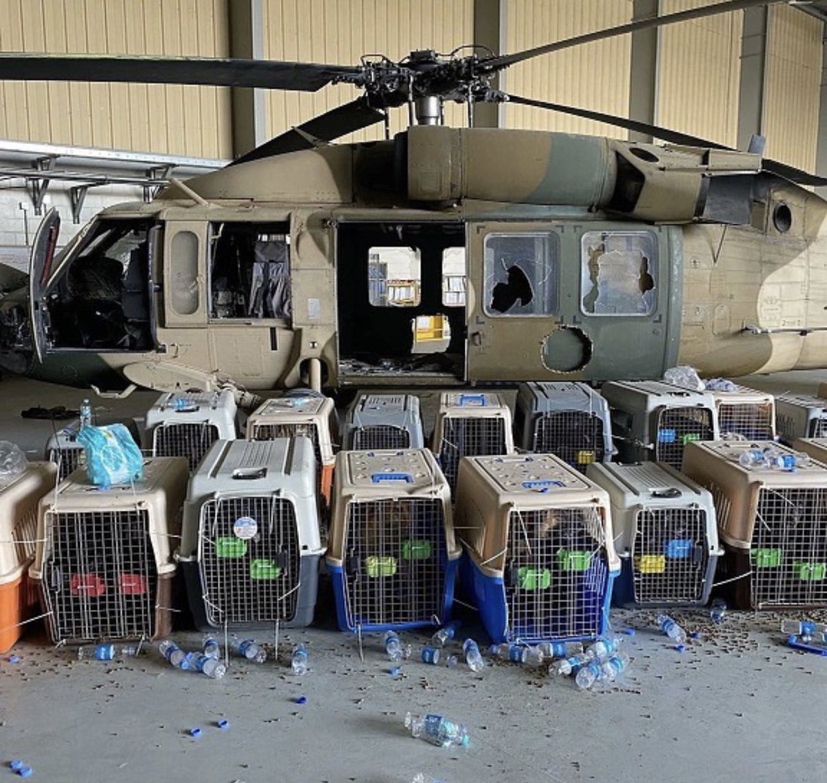 Javierito321's tweet photo. Aquí en USA los perros son como dioses, imagínense como debe estar el pueblo de Estados Unidos viendo que los perros de servicio del ejercito fueron abandonados en Afganistan 😰 https://t.co/yhKPBAq2tg