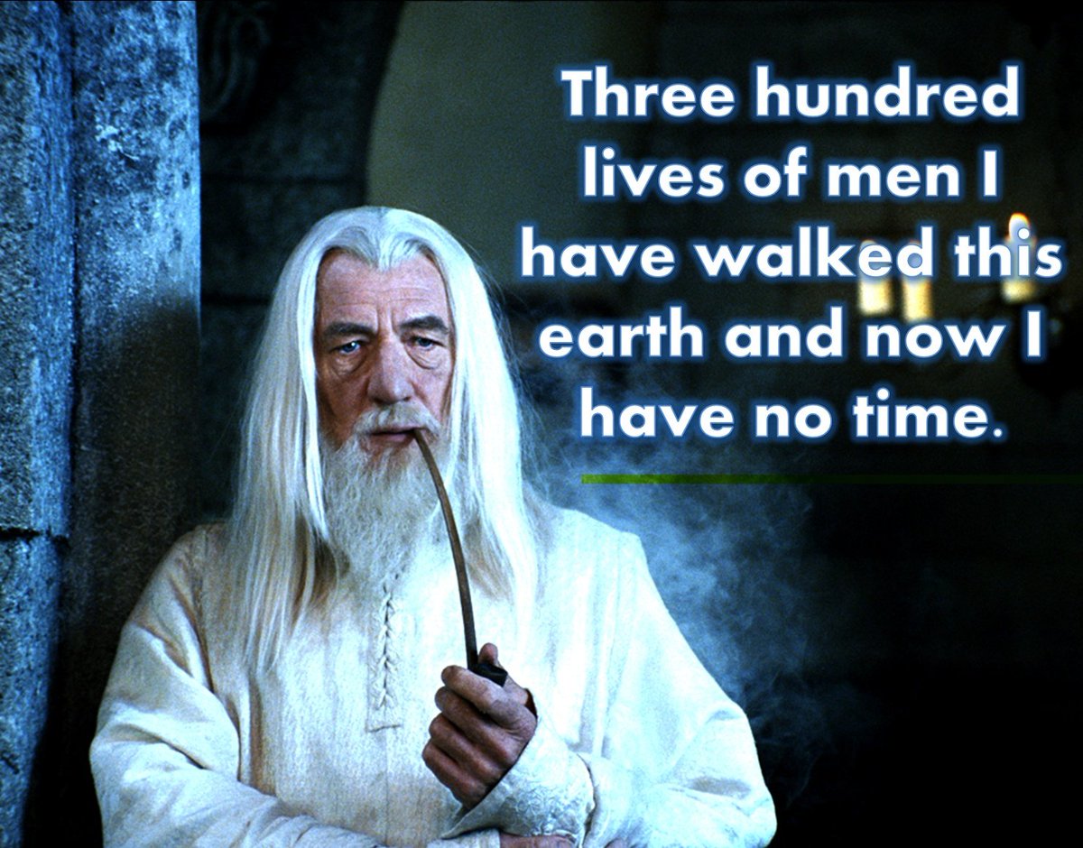 ThatBronzeGirl's tweet image. What finding your passion when you've left your early 20s feels like: