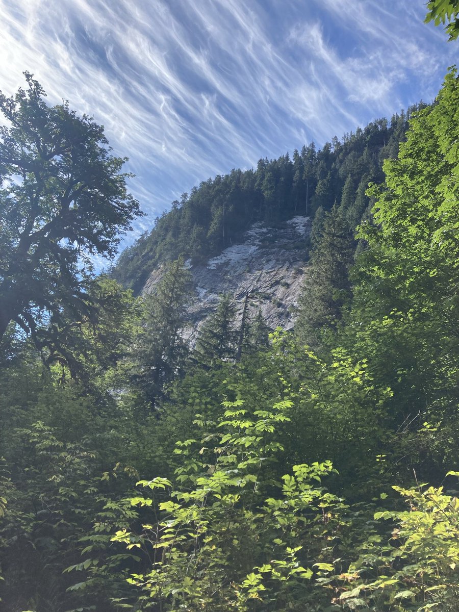 Always__Running's tweet image. Why we get up early and drive an hour, the view, the smells, the company and the challenge: CCC Trail